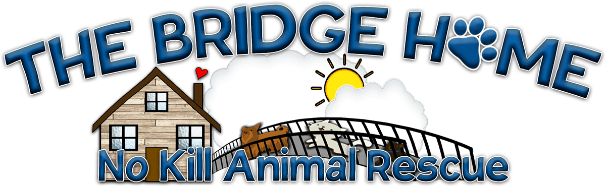 The Bridge Home No Kill Animal Rescue